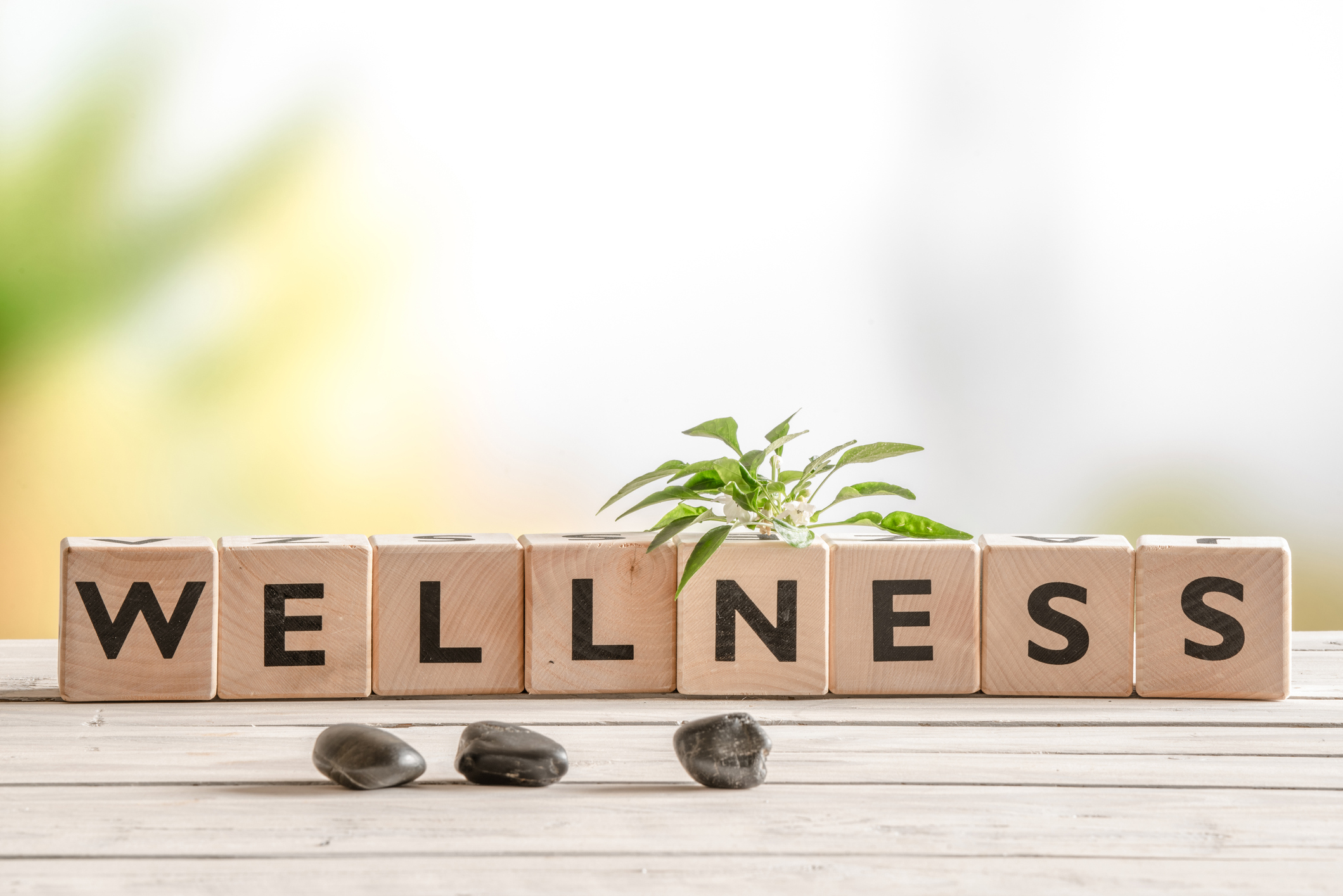 5 Steps to Wellness in a Small Business